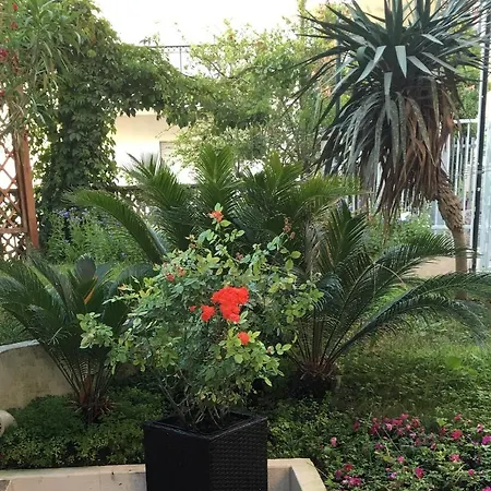 Apartman Mazzanti